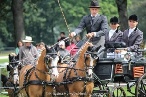 En ook ponymenner Joey van der Ham genomineerd